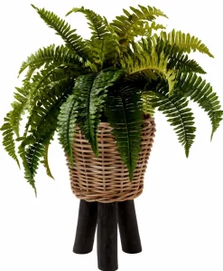 BAZAAR Pot De Fleurs Naturel
