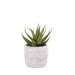 BRONZE Pot De Fleurs Bronze