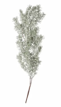 CEDER Branche Décorative Vert