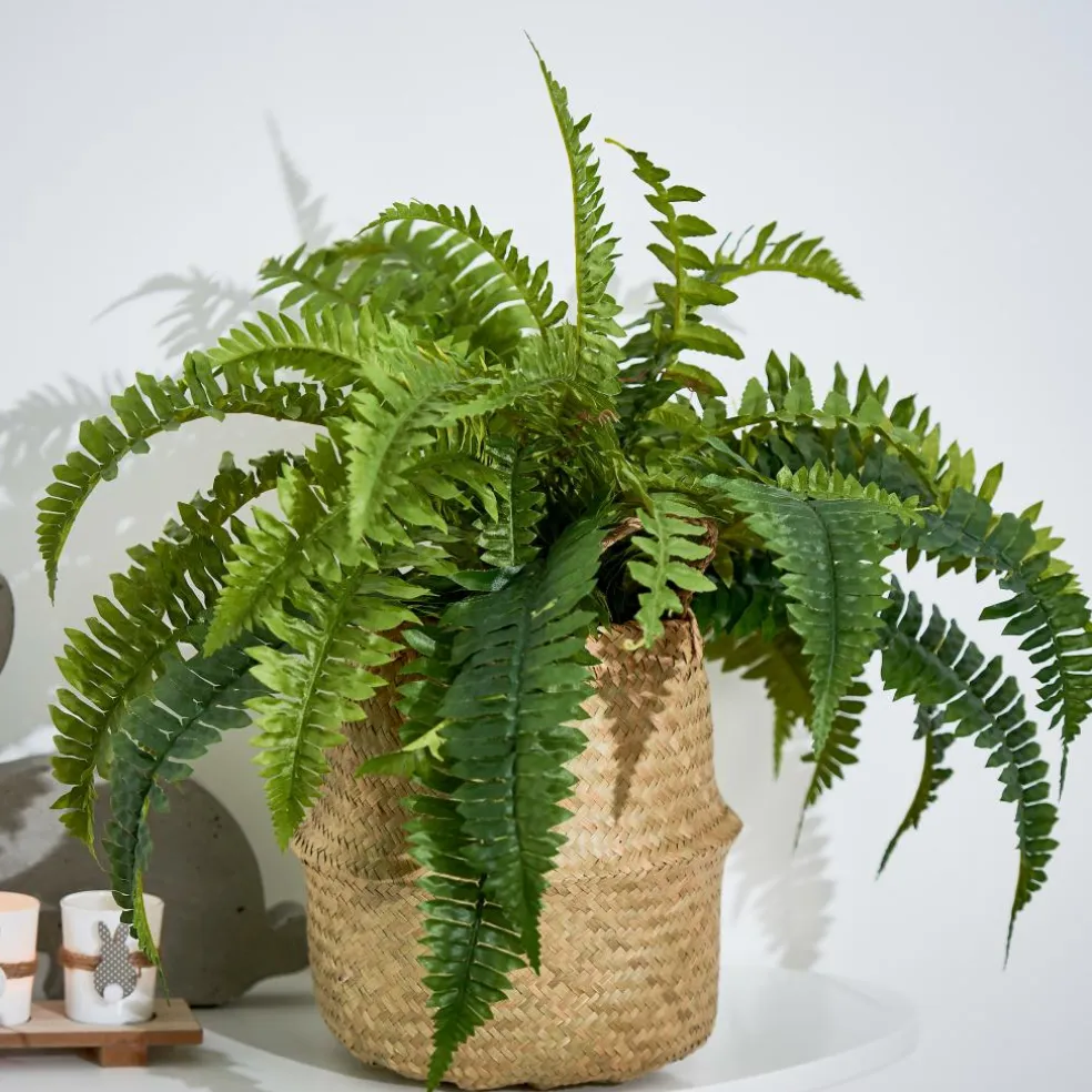 COTTAGE Pot De Jardin Intérieur/Extérieur