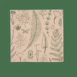 ECO NATURE Set De 20 Serviettes Multicolore