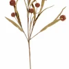 EVA Eucalyptus Vert