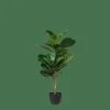 FIGI Plante Artificielle Noir, Vert Foncé