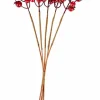 FOAM Branche De Grenadier Rouge