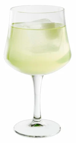 GIN Verre 65 CL Transparent