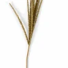 GOLDENROD Tige Blanc