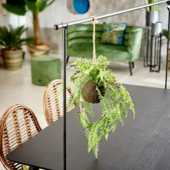 GREENERY Pot à Suspendre Avec Fougère Vert