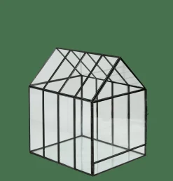 GREENHOUSE Terrarium Transparent