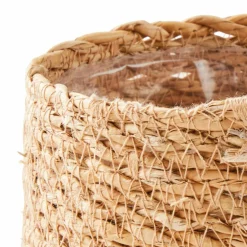 KWAI Palmier Vert