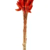 LAGURUS Lagure Ovale Rouge