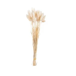 LINDE Vase Beige
