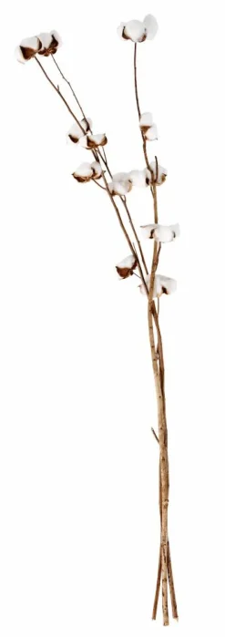MONTANA Vase Sable