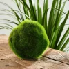 MOSS Boule De Mousse Vert