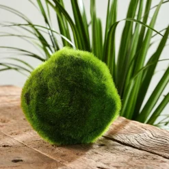 MOSS Boule De Mousse Vert