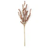 MOTHERWORT Branche D'herbes Rose