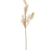 PAMPA Herbe Des Pampas Blanc