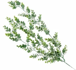 PAMPAS Tiges D'herbe Gris