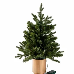 PIM Guirlande Lumineuse 25 LEDs Vert