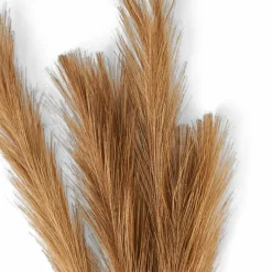 PLUME Plumes Décoratives Brun Clair