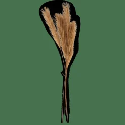 PLUME Plumes Décoratives Brun