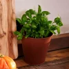 RUSTY Pot De Fleurs Brun