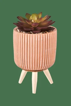 STRIPE Plante Grasse Artificielle Multicolore