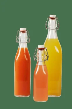 SWING Bouteille 0,5 L Transparent
